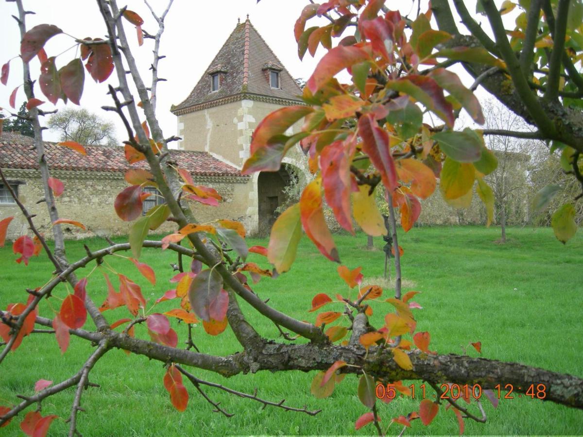 Bed and Breakfast Domaine D'Entudelle Lussan  Exteriér fotografie